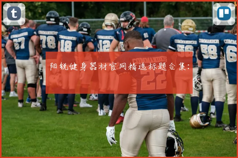 阳锐健身器材官网精选标题合集：