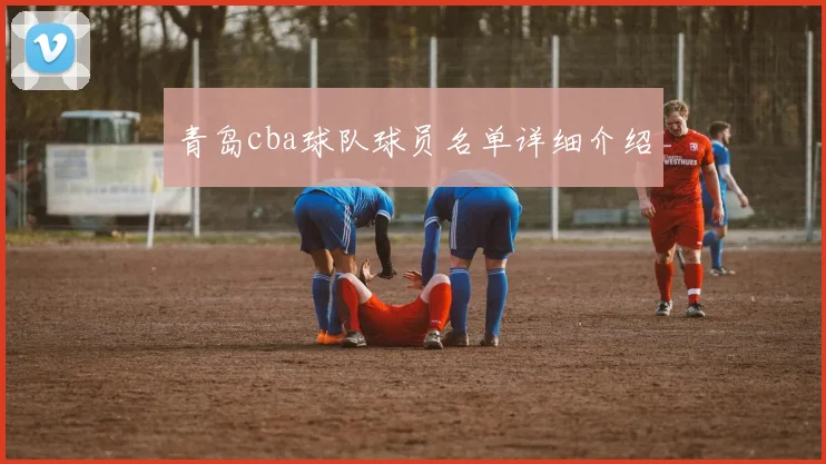 青岛cba球队球员名单详细介绍