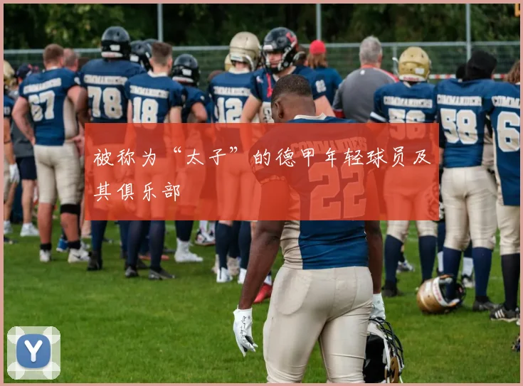 被称为“太子”的德甲年轻球员及其俱乐部